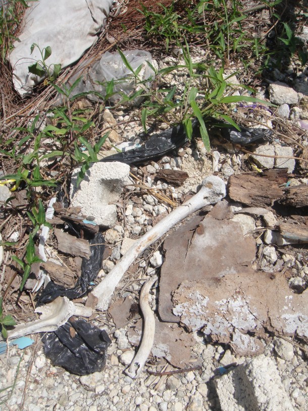 port-au-prince cemetery
