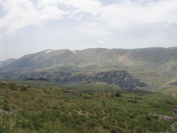 hezbullah-lebanon hezbullah lebanon