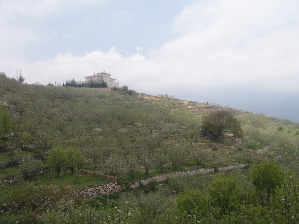 lebanon-apples lebanon apples