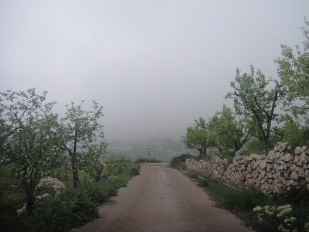 lebanon-apples lebanon apples