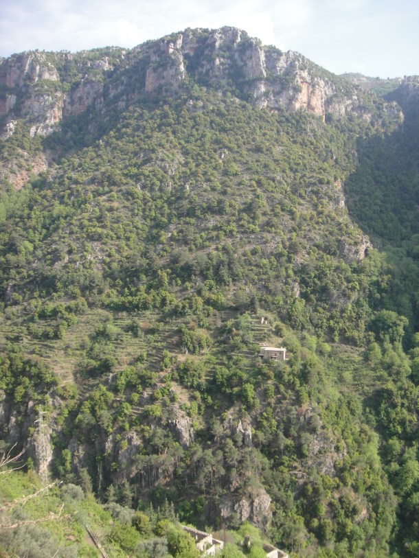 qadisha valley