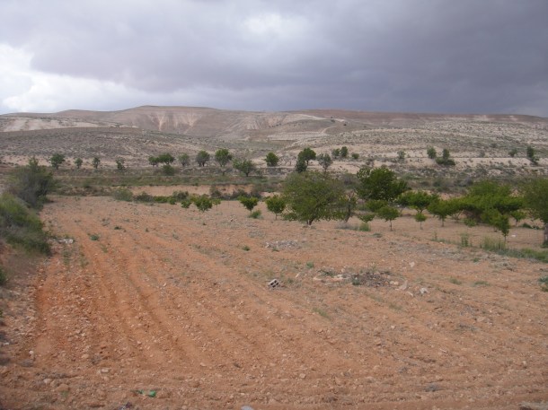 syrian countryside
