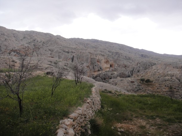 syrian countryside