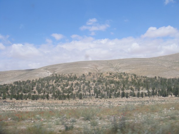syrian countryside