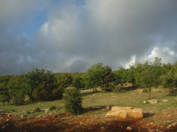 syrian countryside