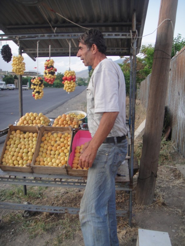 armenia apricots