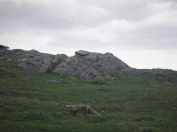 gergeti trinity church