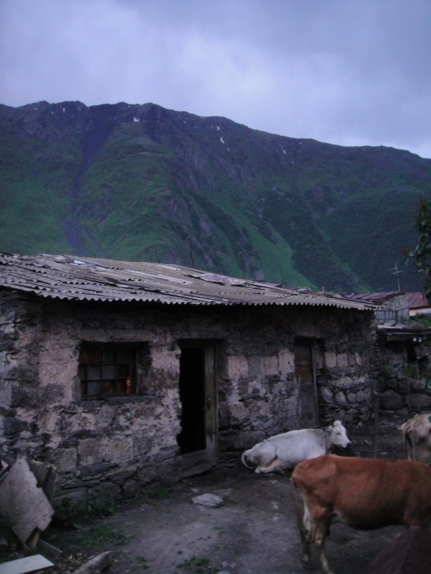 kazbegi