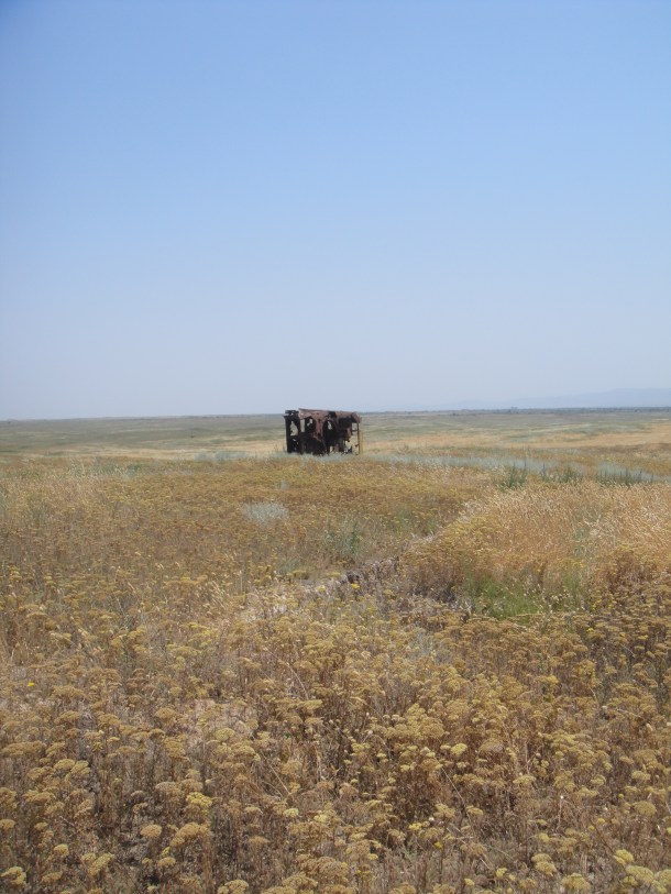 Nagorno-Karabakh war casualty