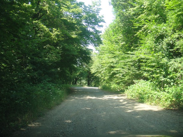 nagorno-karabakh landscape forest road