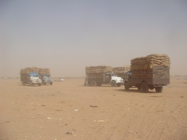 Omdurman-Camel-Market