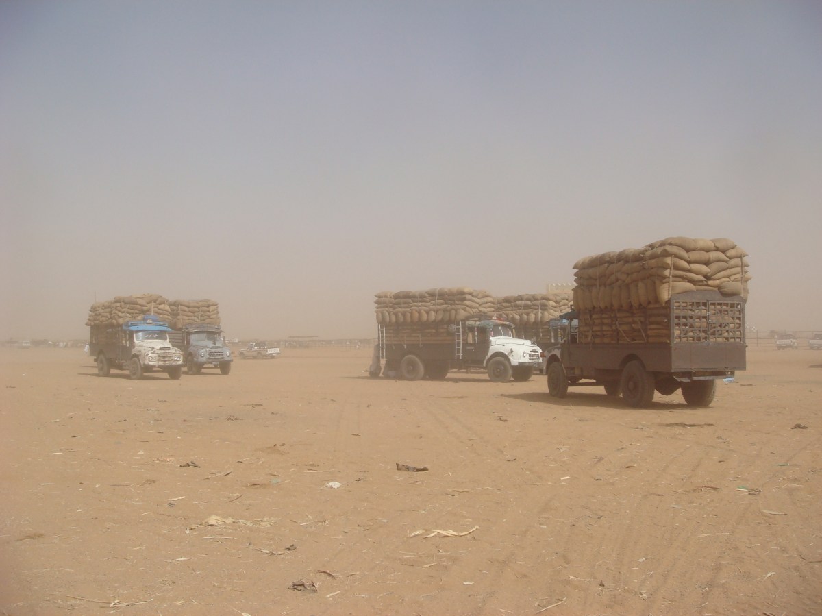 Omdurman-Camel-Market