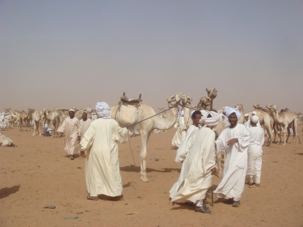 sudan-camel-market