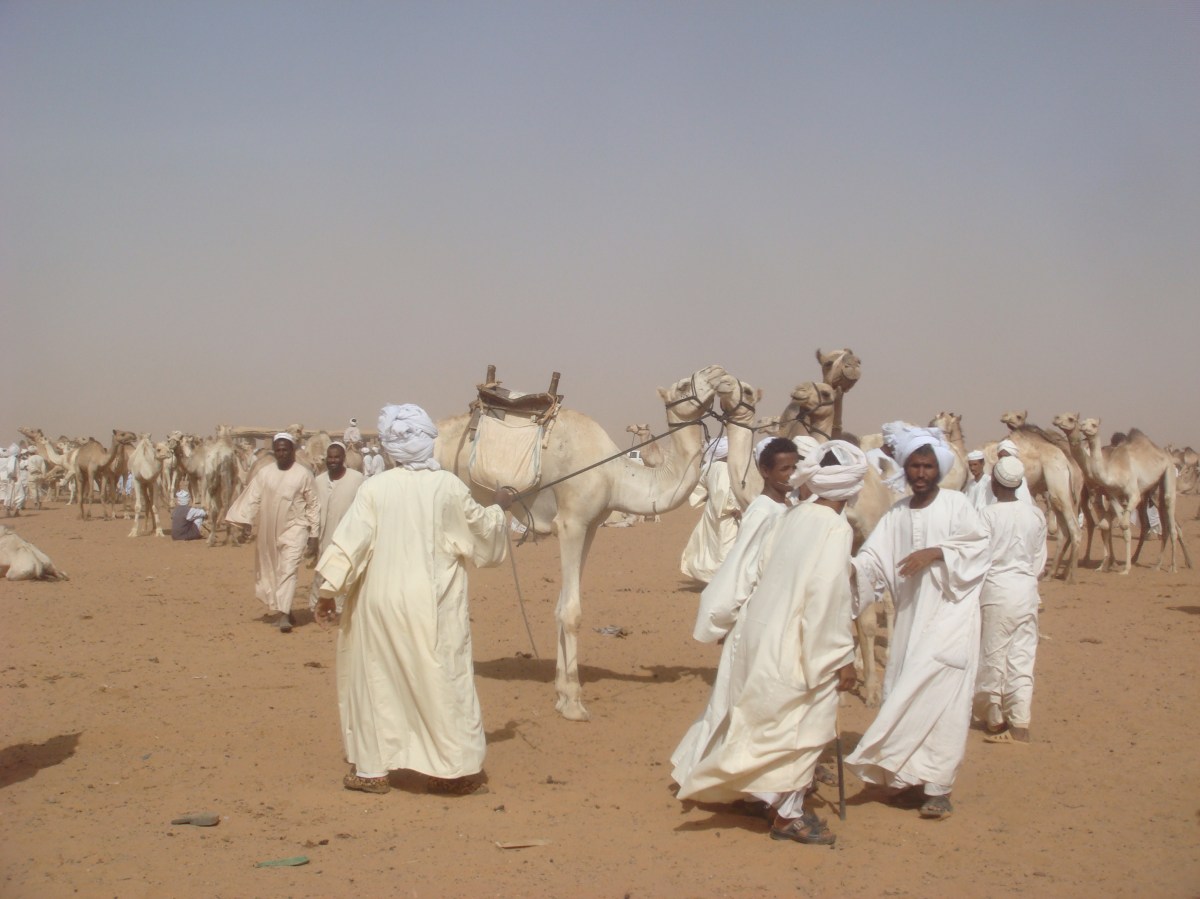 sudan-camel-market