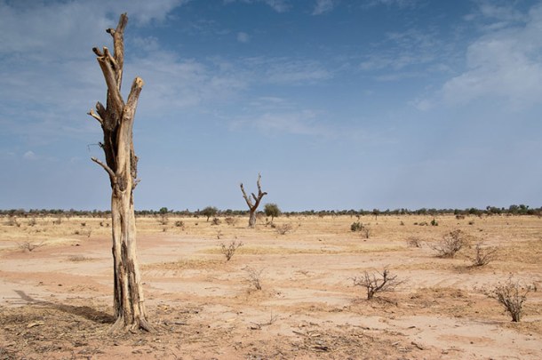 The landscape of Séguénéga in Burkina Faso, a commune in the north of the west African country, is suffering considerable environmental damage because of the increase in gold mining