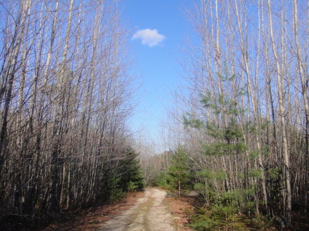 great north woods maine