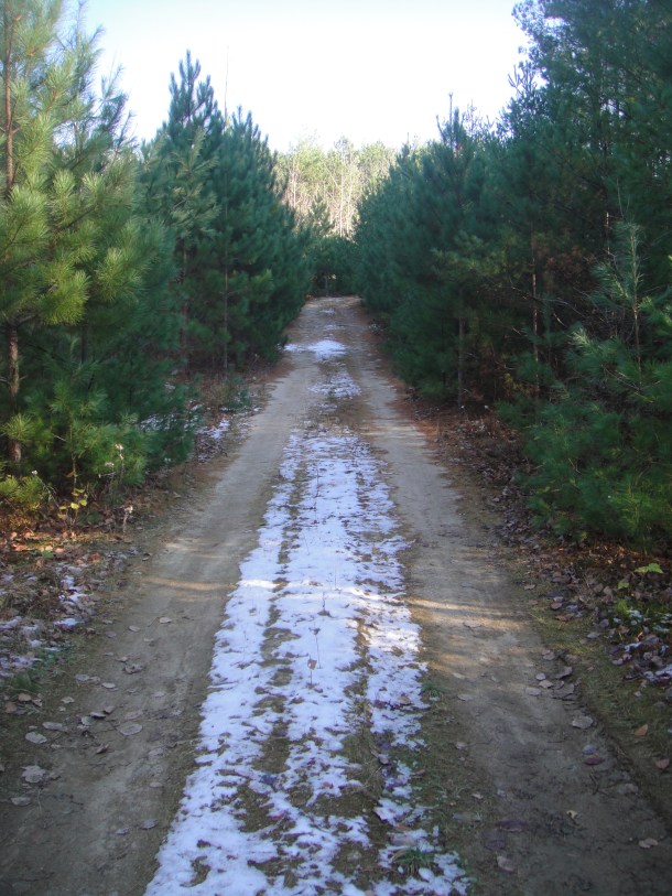 katahdin forest management