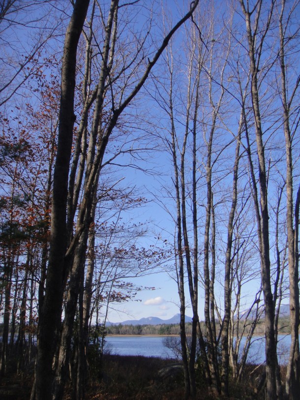 katahdin forest project