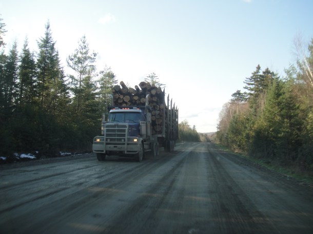 logging golden road