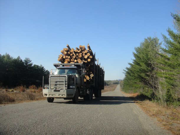 logging truck golden road