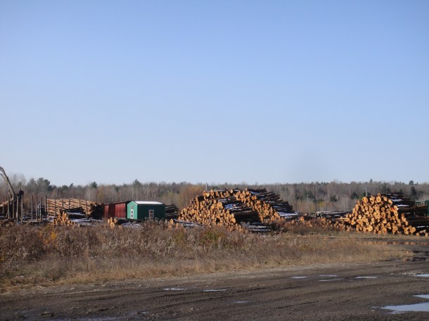 maine logging yard