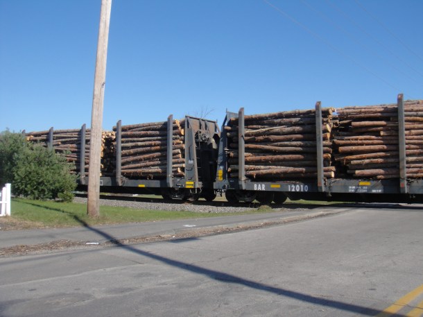 train with logs