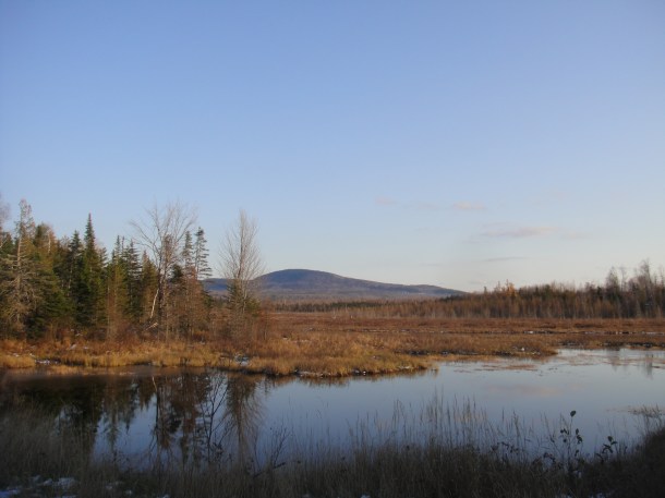 wilderness view maine golden road