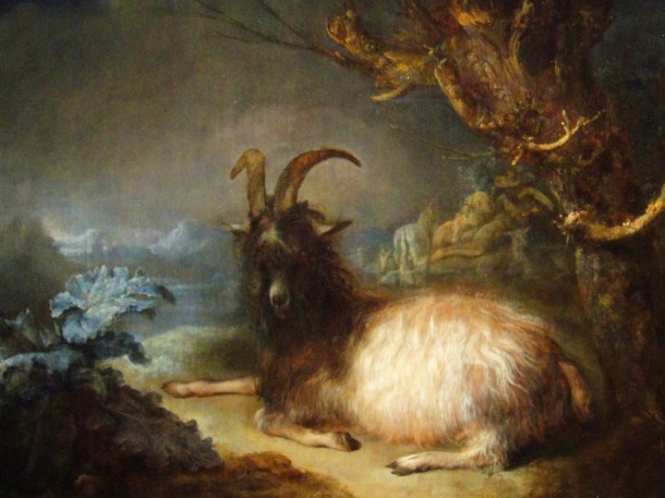 gerrit dou landscape with a goat