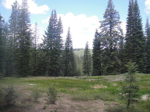 howland flat california