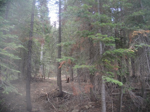 howland flat ghost town