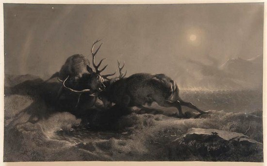 sir edwin landseer night two stags battling by moonlight