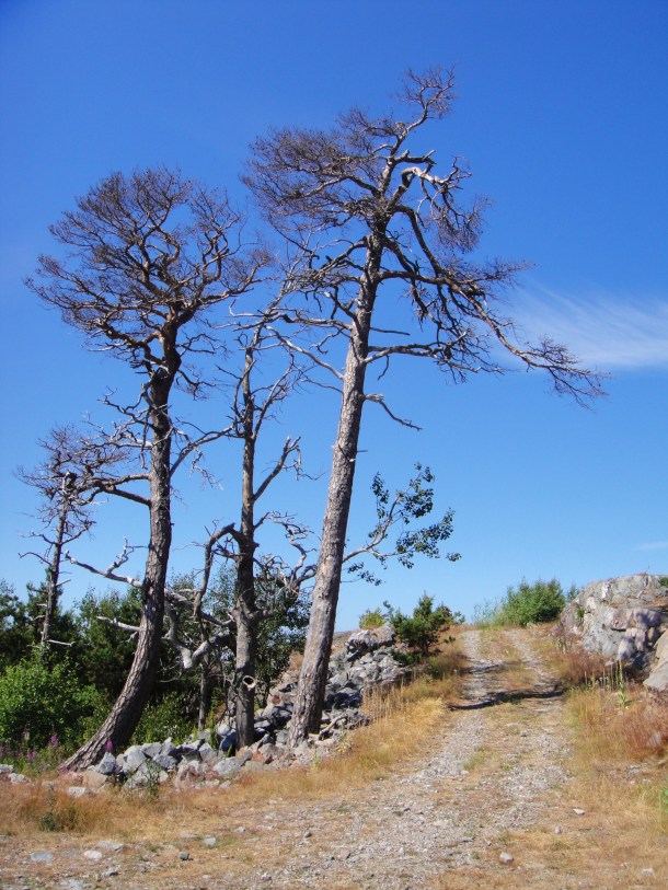 uto island bunker complex
