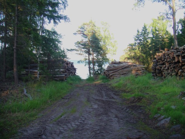 uto island logging