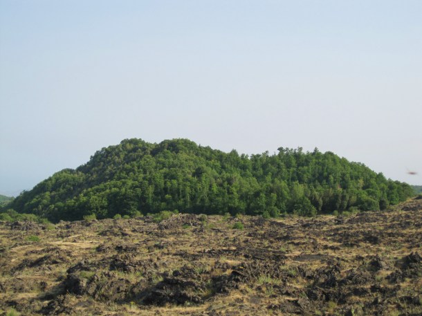 etna lava fields