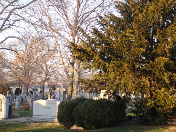 genovese grave location