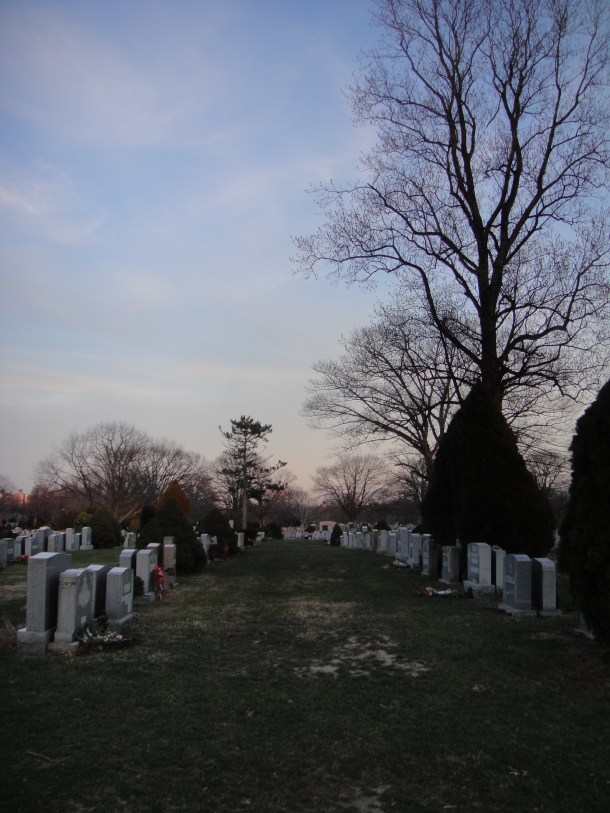 saint john cemetery queens