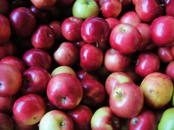 vermont apples