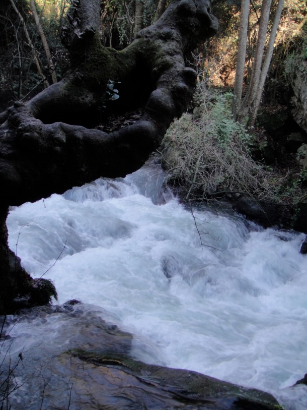 banias nature reserve