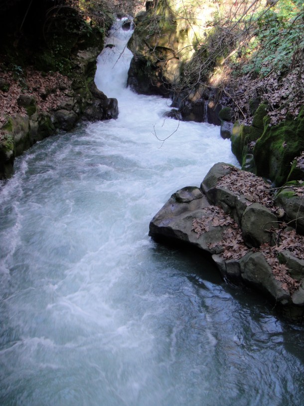 banias nature reserve