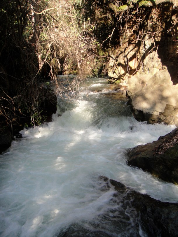 banias nature reserve
