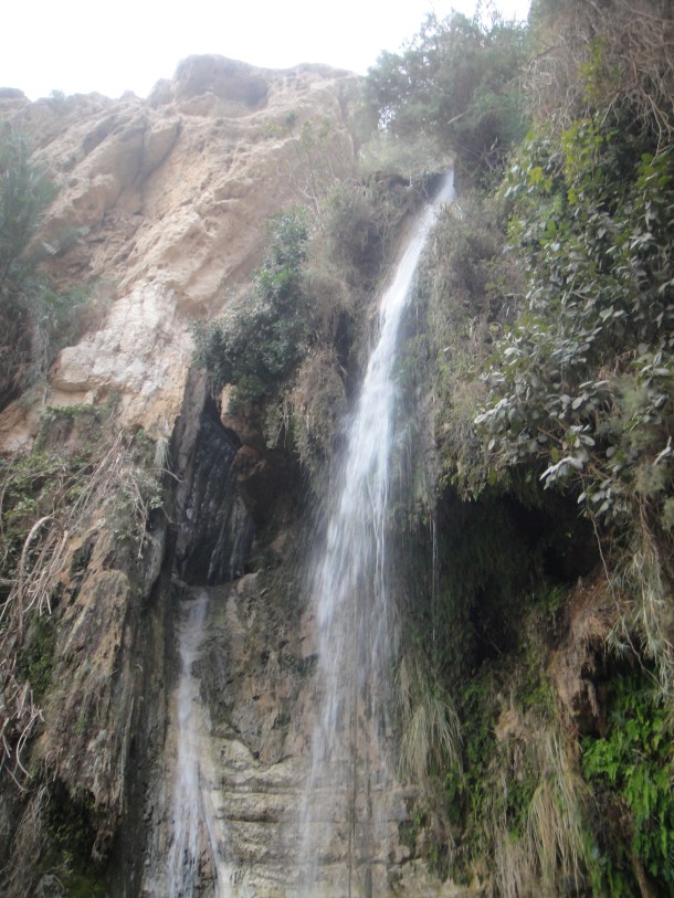 david's fall ein gedi