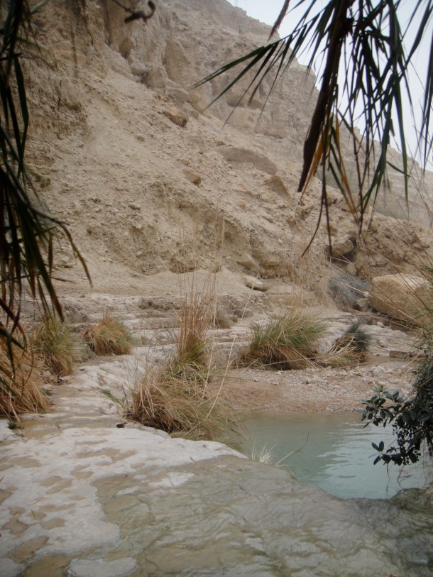 ein gedi nature reserve