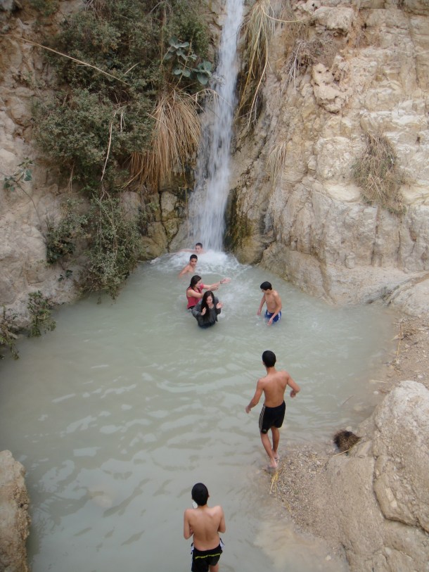 ein gedi nature reserve