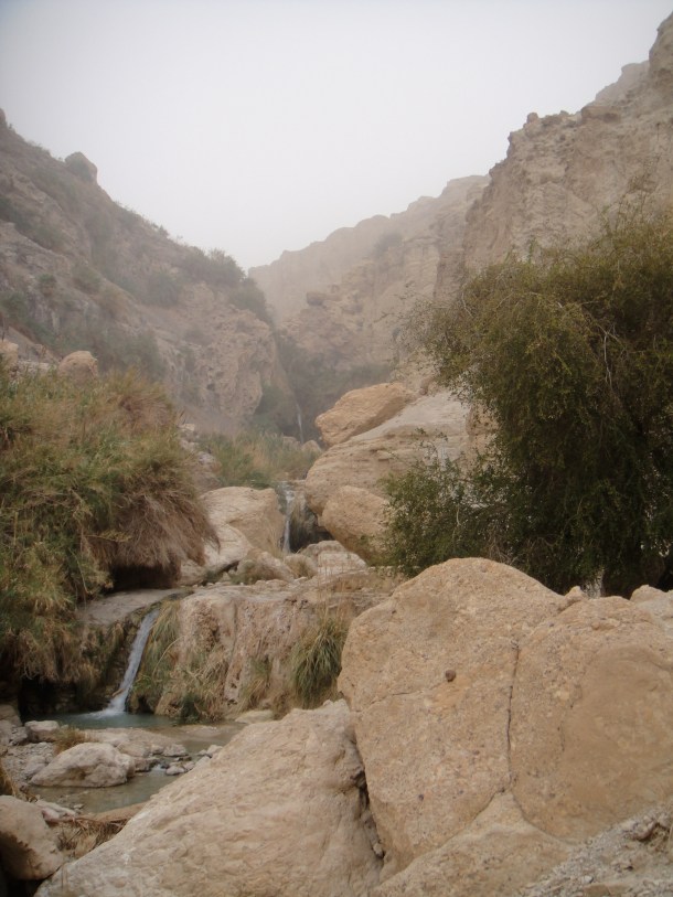 ein gedi nature reserve