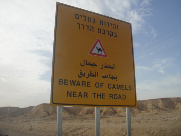 israeli road sign camels