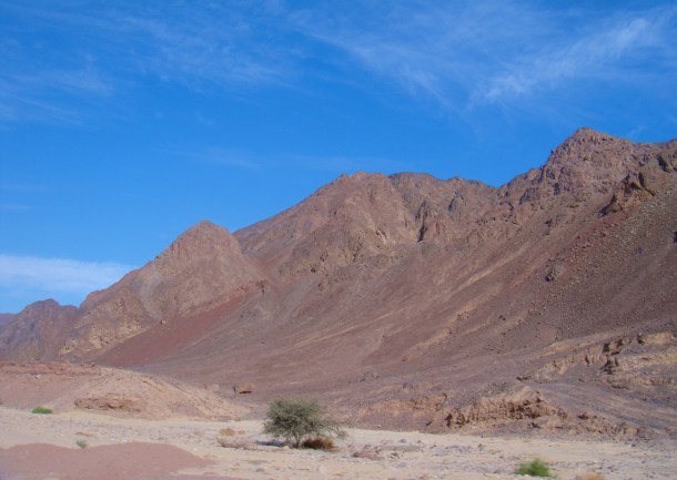 sinai desert