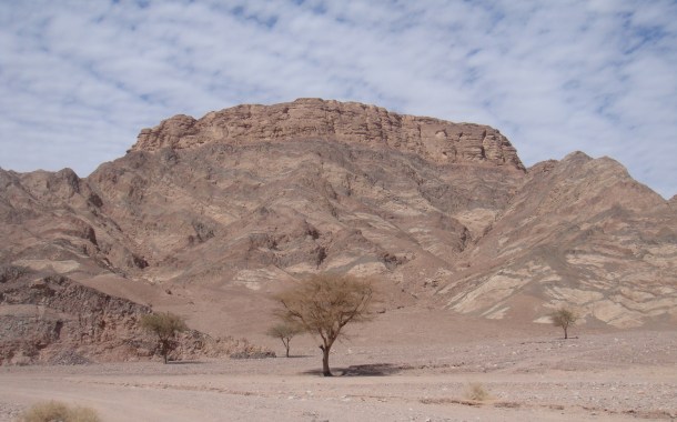 sinai desert