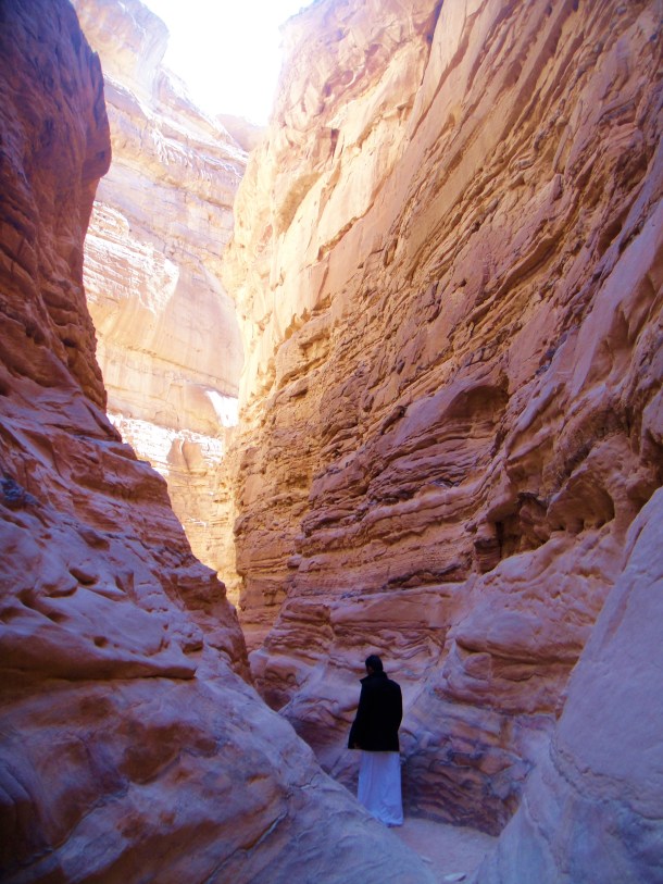 sinai desert smuggling trail