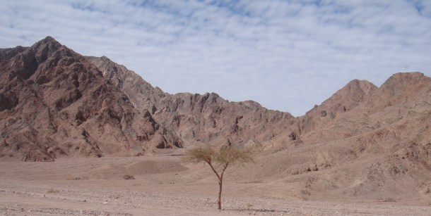 sinai peninsula egypt
