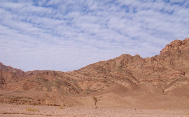 sinai 